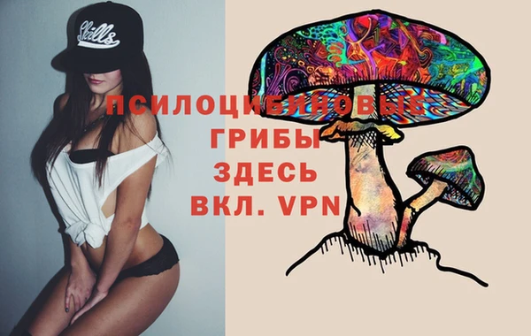 СК Арсеньев