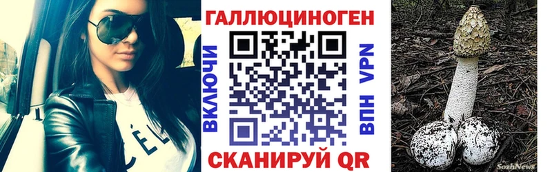 Псилоцибиновые грибы прущие грибы  Усть-Джегута 
